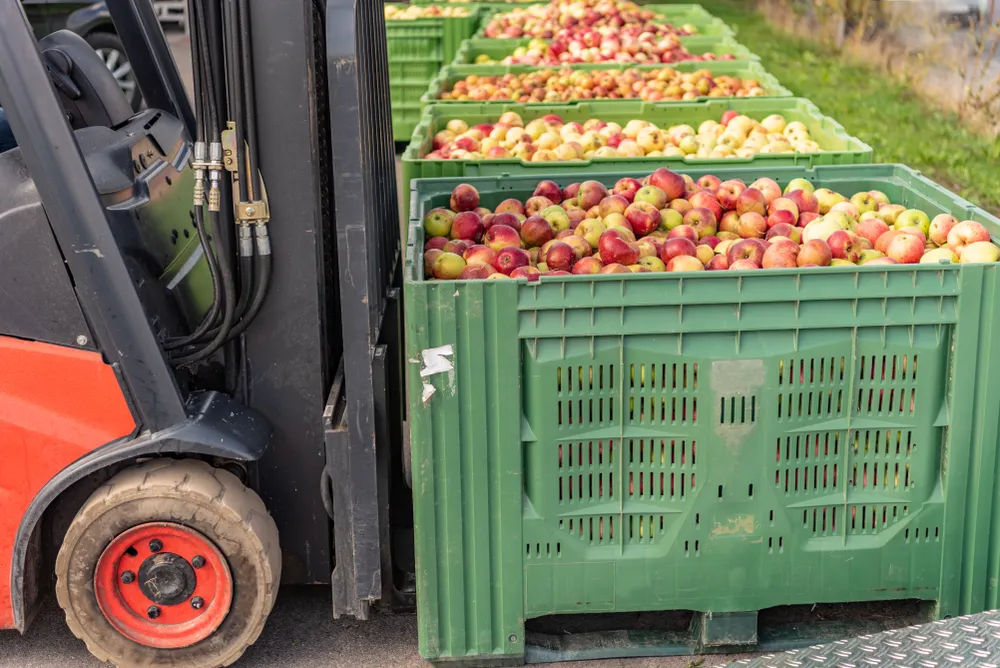 Wykorzystanie wózków widłowych w branży spożywczej | get-a-truck.pl